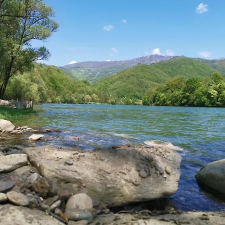 Despot * Banja Koviljača