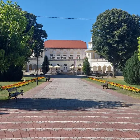 Despot * Banja Koviljača