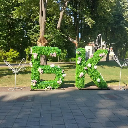 Despot Banja Koviljača