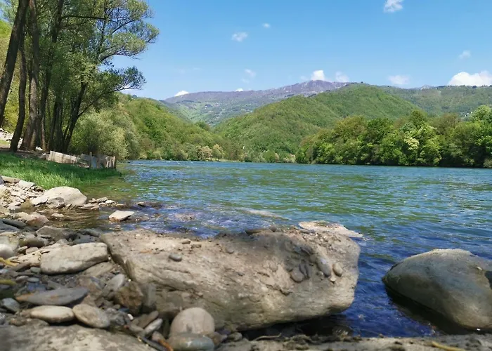 Despot * Banja Koviljača