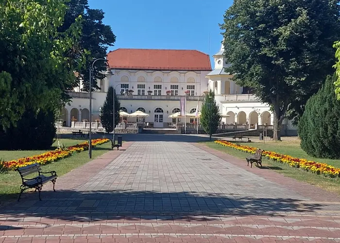 Despot * Banja Koviljača