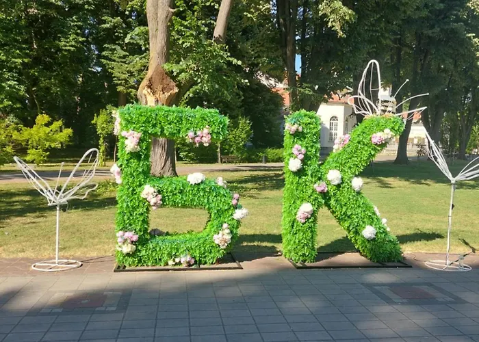 Despot Banja Koviljača